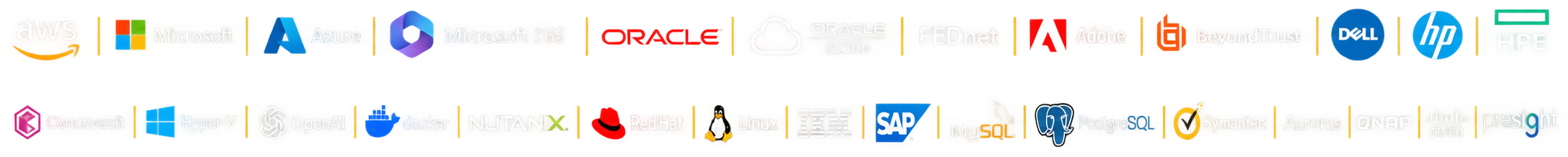 AWS, Microsoft, Azure, Oracle, Dell, HP, IBM, SAP, Cisco and other technology partners